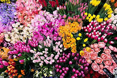 《波斯王子：失落的王冠》将于4月14日登陆iOS和安卓平台