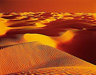 《浩劫前夕》推迟至12＆7 且版本为抢先体验